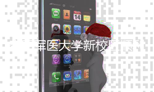 工 区顺迁大学体搬年整新校利竣军医计划空军