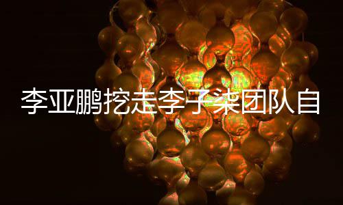 面回红鹏挖鹏首走李子柒自己当网团队应次正李亚李亚