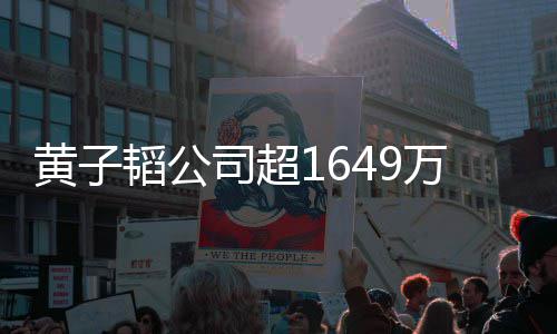 万存务黄子 公冻结韬公常经济业款被司超司属正